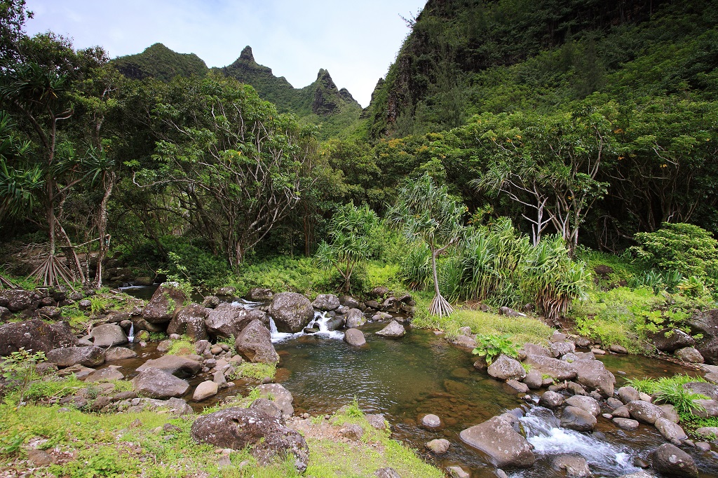 Views from Limahuli gardens, Kauai island