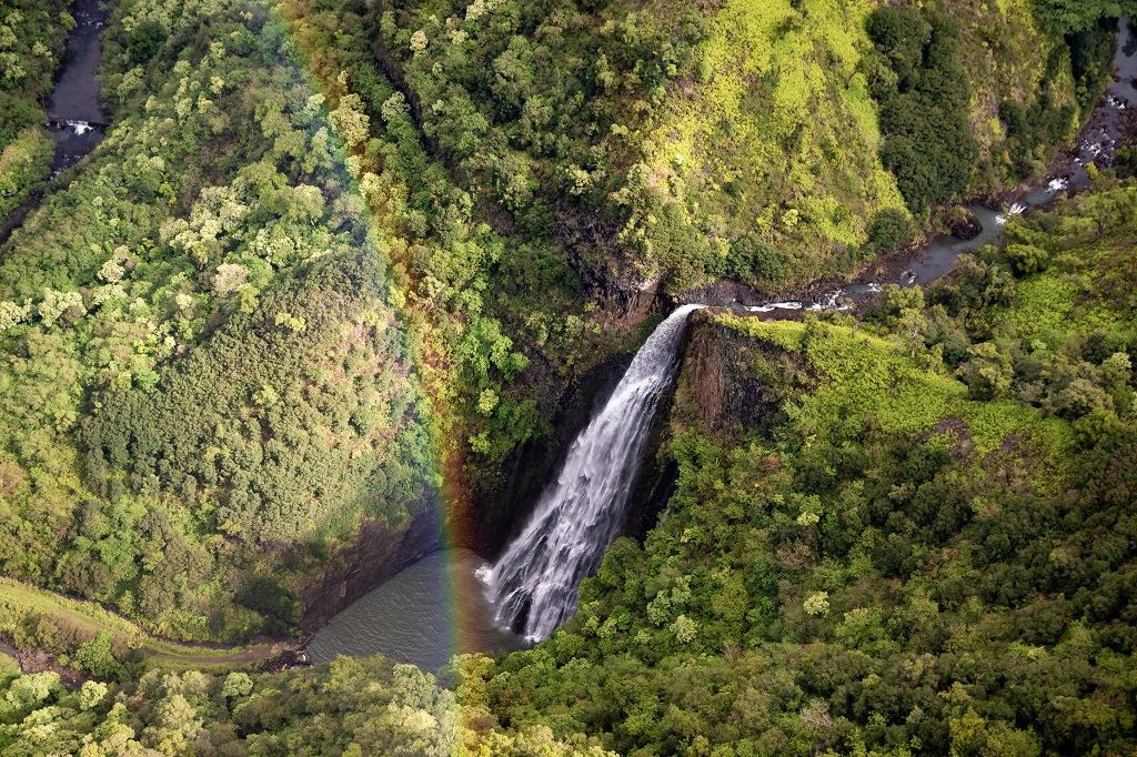 Manawaiopuna Falls (Jurassic Park Falls) - Interior Scenery - Kauai - Hawaii - USA
