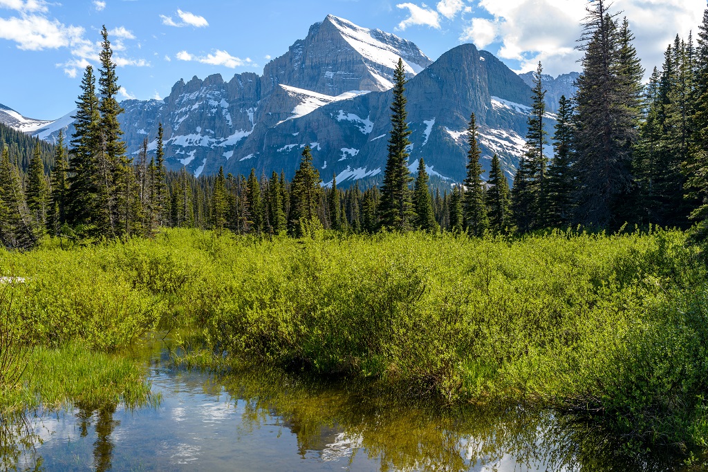 Mountain Wetland