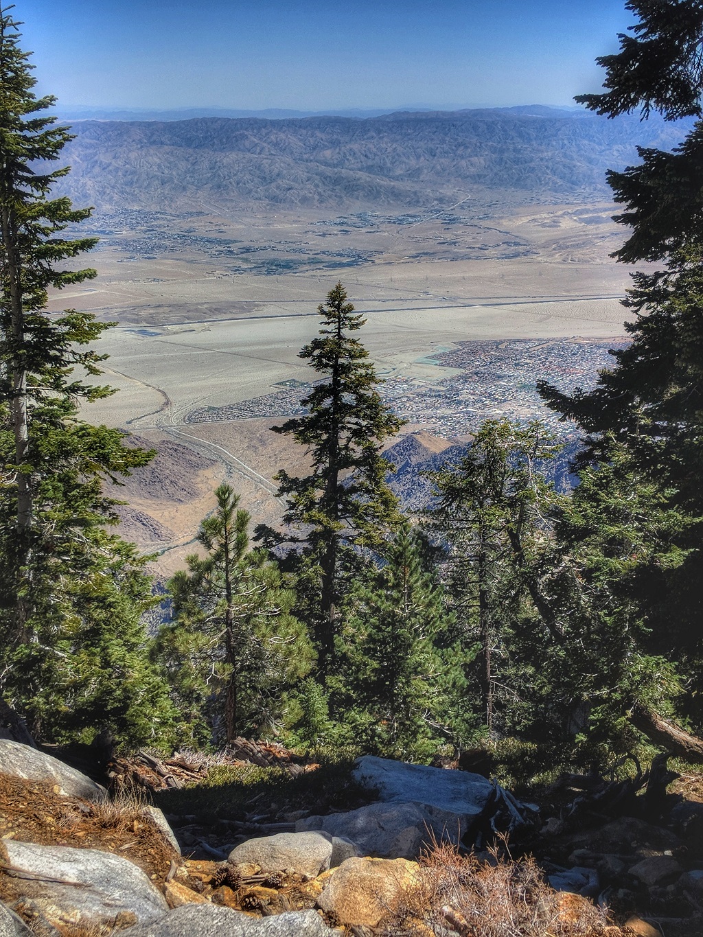 Mount San Jacinto State Park, Palm springs