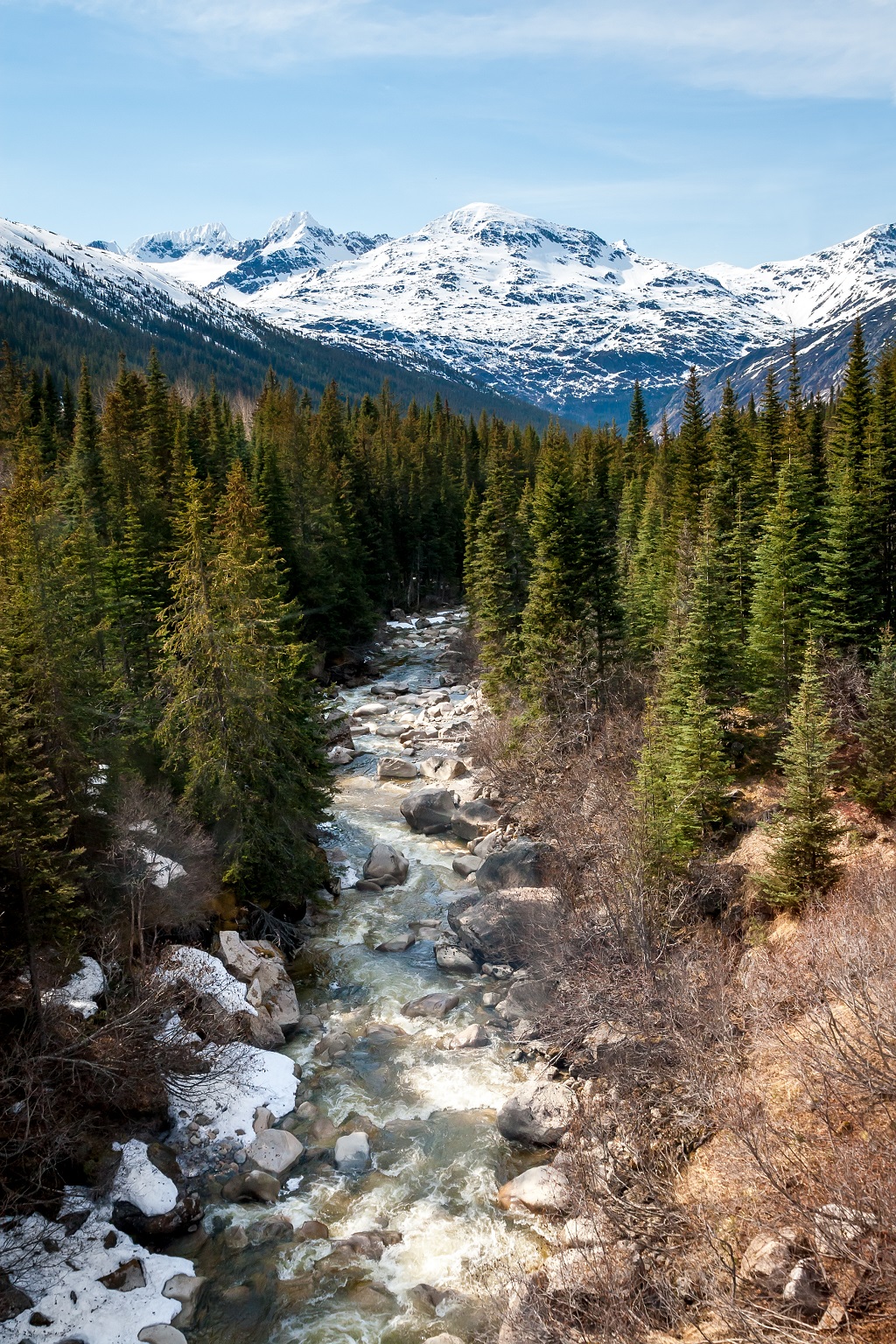 Skagway River in the Tongass National Forest, Alaska